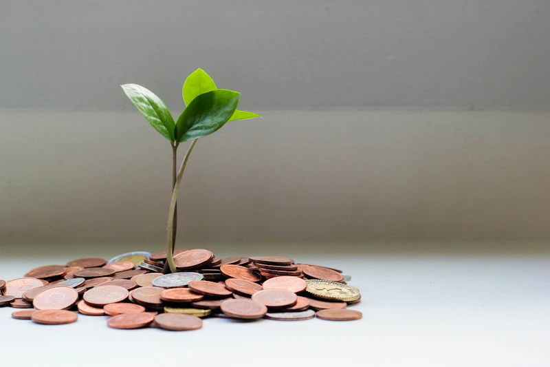 Presupuesto anual corporativo